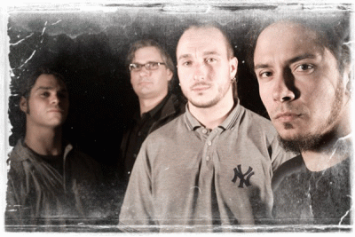 interview Step In Fluid